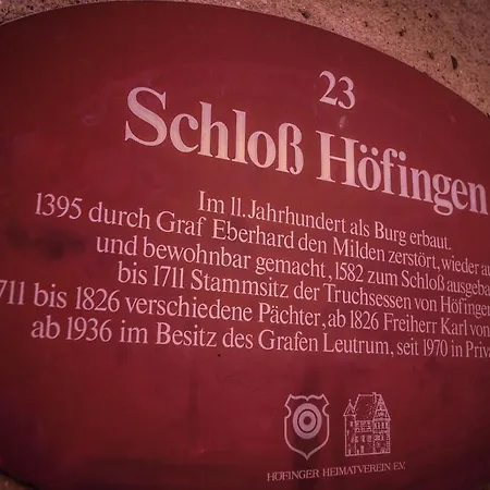 Schloss Hoefingen Penzion 4*