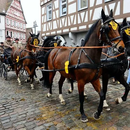 Schloss Höfingen 4* Leonberg