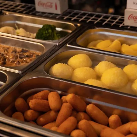 Schloss Hoefingen Pensión Leonberg